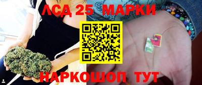 крисы Апшеронск
