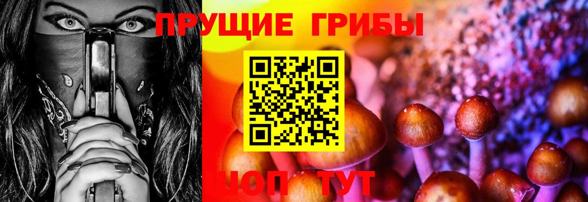 Псилоцибиновые грибы Psilocybine cubensis  Вход с VPN  Богородск  Галлюциногенные грибы Psilocybe 