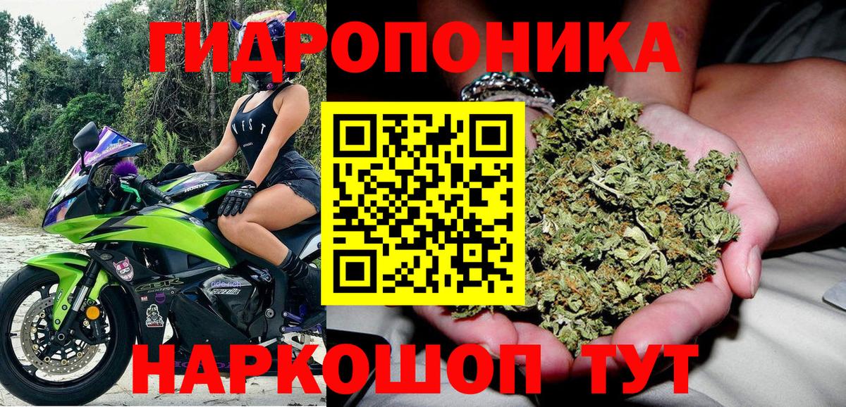 Бошки марихуана ГИДРОПОН Богородск